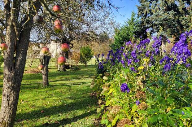 Einfamilienhaus kaufen in 2533 Klausen (Bild 1)