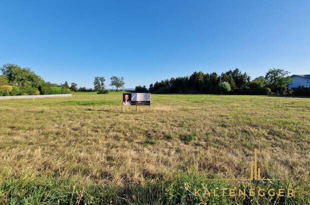 Grundstück kaufen in 2722 Weikersdorf (Bild 2)