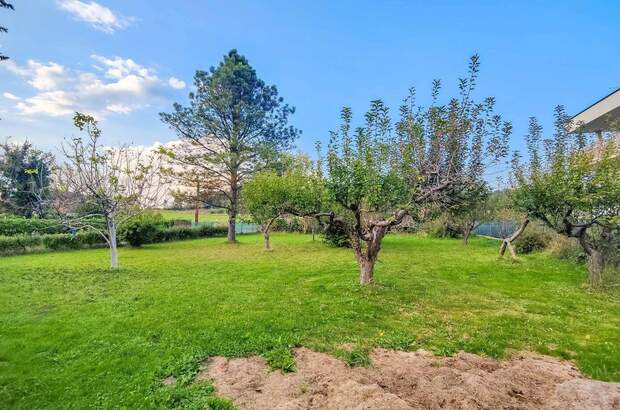 Grundstück kaufen in 8075 Hart (Bild 1)