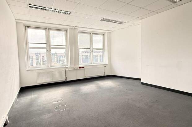 Gewerbeobjekt mieten in 2320 Schwechat (Bild 2)