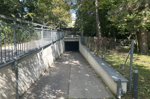 Halle / Lager / Produktion mieten in 1230 Wien (Bild 4)