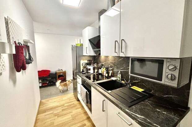 Wohnung mieten in 7100 Neusiedl (Bild 5)