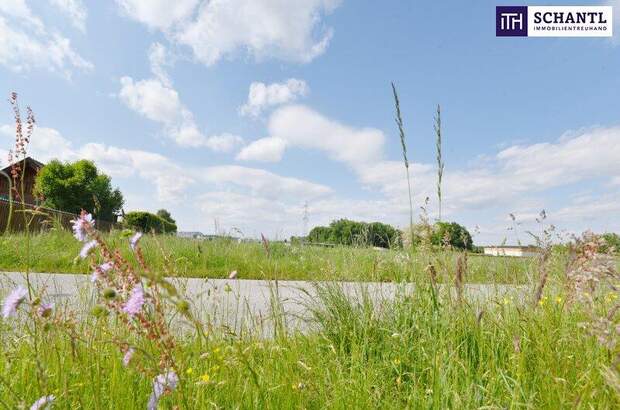 Grundstück kaufen in 8430 Leibnitz (Bild 3)