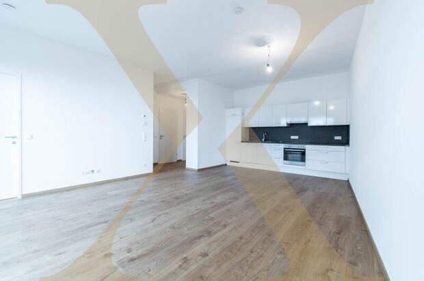 Terrassenwohnung mieten in 4020 Linz (Bild 1)