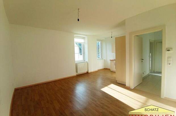 Wohnung mieten in 2565 Neuhaus (Bild 1)