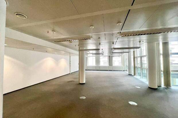 Gewerbeobjekt mieten in 1010 Wien (Bild 4)