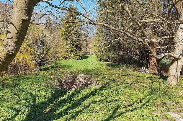 Grundstück kaufen in 3400 Maria Gugging (Bild 1)