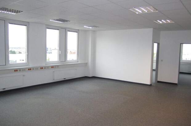 Gewerbeobjekt mieten in 1230 Wien (Bild 1)