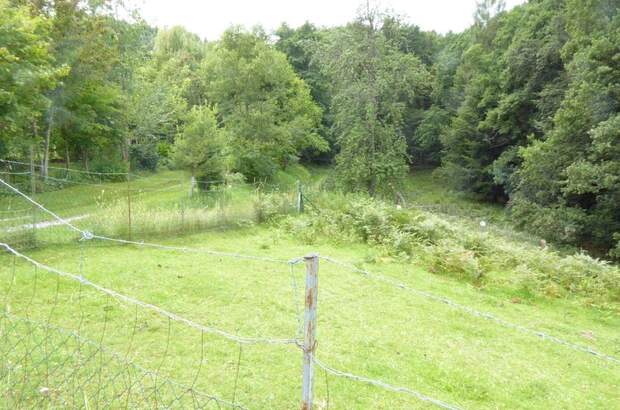 Haus kaufen in 8302 Nestelbach (Bild 4)