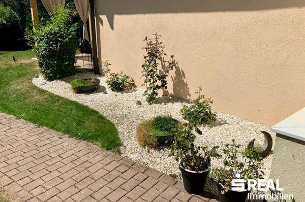 Mehrfamilienhaus kaufen in 4650 Lambach (Bild 5)