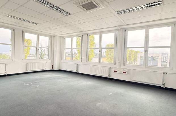 Gewerbeobjekt mieten in 2320 Schwechat (Bild 3)