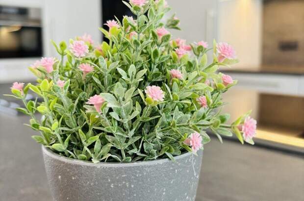 Wohnung mit Balkon kaufen in 8055 Graz (Bild 4)