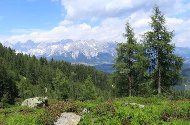 Wohnung kaufen in 8970 Schladming (Bild 3)