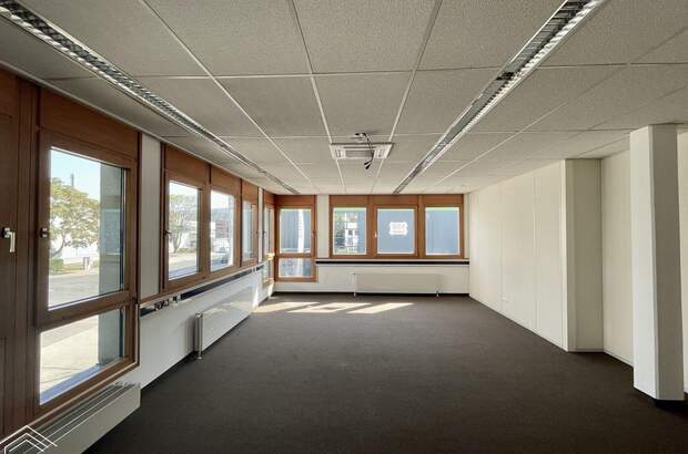 Gewerbeobjekt mieten in 1210 Wien (Bild 1)