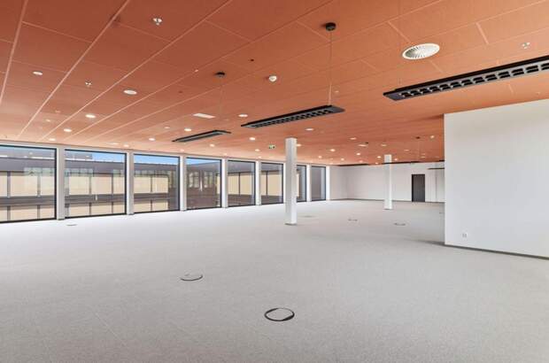 Gewerbeobjekt mieten in 6922 Wolfurt (Bild 2)