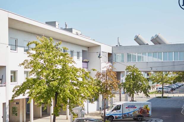 Terrassenwohnung mieten in 1220 Wien (Bild 3)