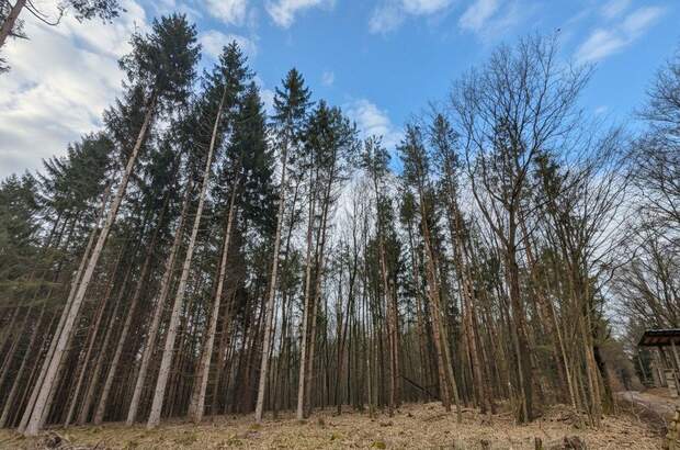 Grundstück kaufen in 7502 Unterwart (Bild 5)