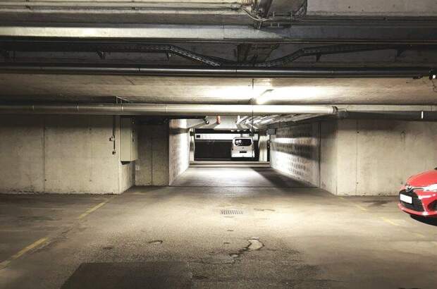 Halle / Lager / Produktion mieten in 1210 Wien (Bild 4)