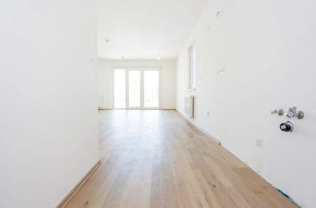 Terrassenwohnung kaufen in 2700 Wr. Neustadt (Bild 3)