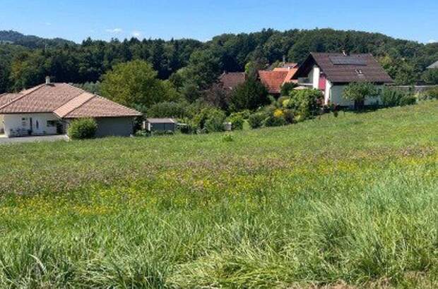 Grundstück kaufen in 8461 Ehrenhausen (Bild 2)