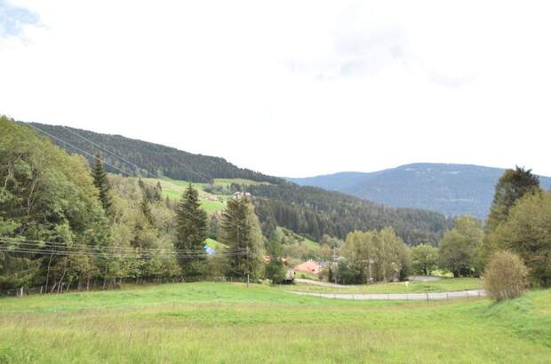 Gewerbeobjekt kaufen in 9543 Arriach (Bild 3)