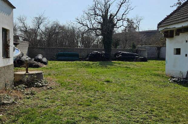 Haus mit Garten kaufen in 7142 Illmitz (Bild 1)