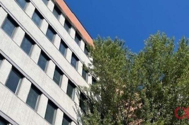 Gewerbeobjekt mieten in 1210 Wien (Bild 3)