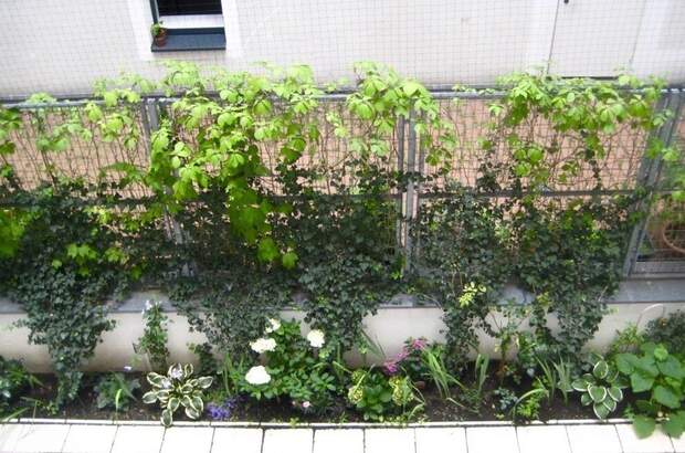 Anlageobjekt kaufen in 1090 Wien (Bild 1)