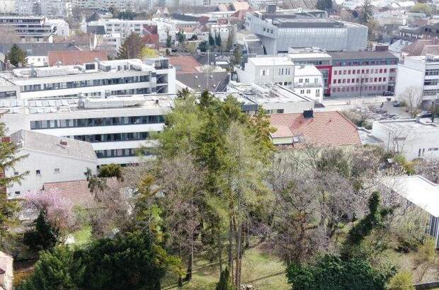 Grundstück kaufen in 7000 Eisenstadt (Bild 1)