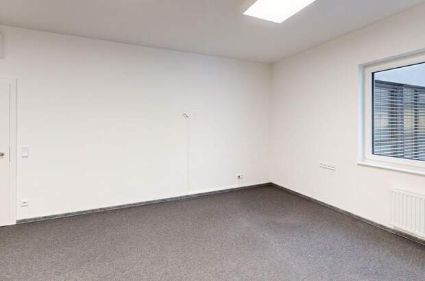 Gewerbeobjekt mieten in 8434 Tillmitsch (Bild 3)