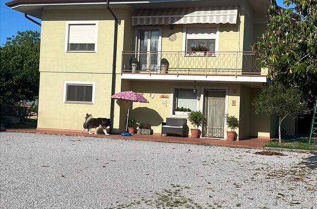 Haus mit Garten kaufen (Bild 4)