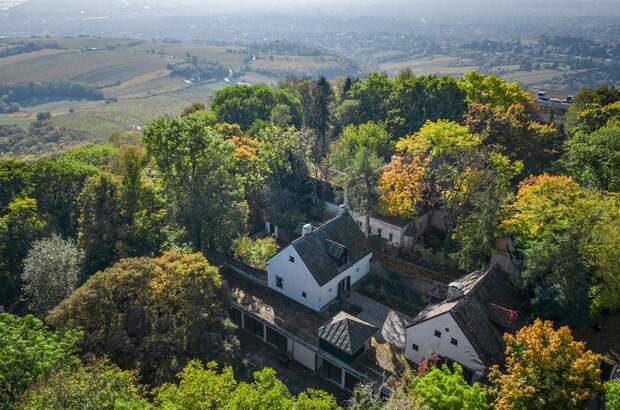 Chalet kaufen in 1190 Wien (Bild 1)