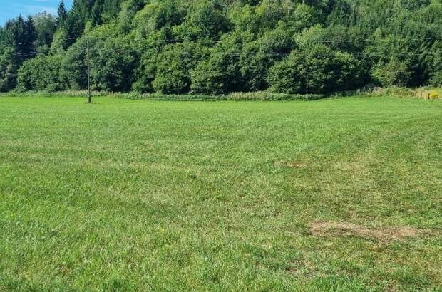 Grundstück kaufen in 9560 Rottendorf (Bild 1)