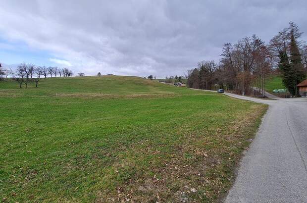 Grundstück kaufen in 3353 Seitenstetten (Bild 1)