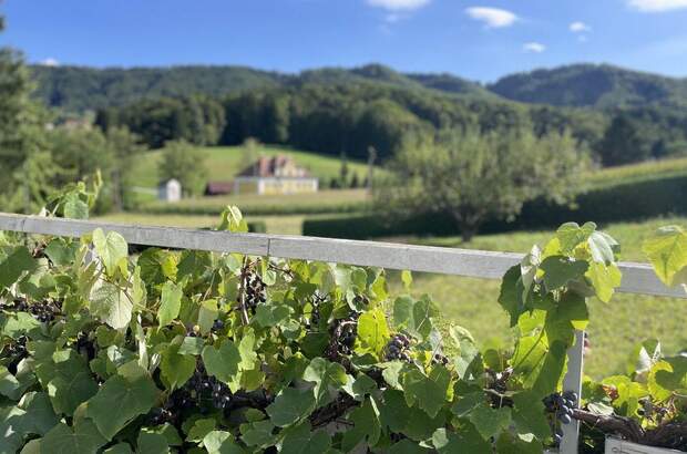 Haus kaufen in 8430 Leibnitz (Bild 1)