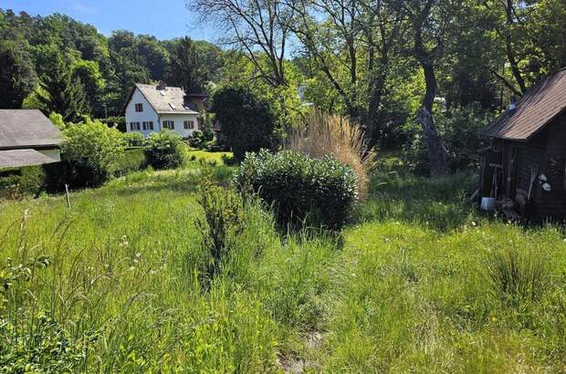 Grundstück kaufen in 8045 Graz (Bild 3)