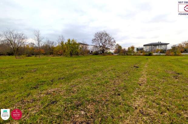 Grundstück kaufen in 2070 Retz (Bild 3)