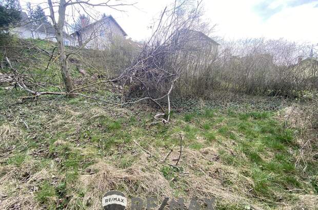 Grundstück kaufen in 3433 Königstetten (Bild 4)