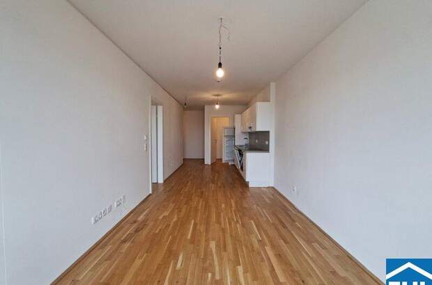 Terrassenwohnung mieten in 1020 Wien (Bild 2)