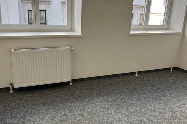 Gewerbeobjekt mieten in 1040 Wien (Bild 2)