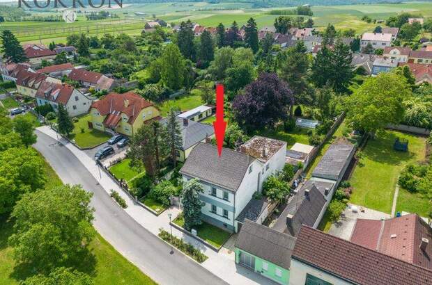 Einfamilienhaus kaufen in 2222 Bad Pirawarth (Bild 2)