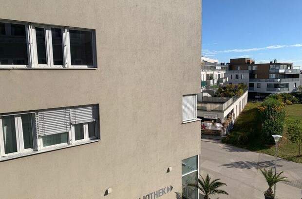 Büro / Praxis mieten in 2353 Guntramsdorf (Bild 5)