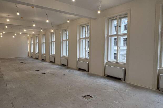 Gewerbeobjekt mieten in 1010 Wien (Bild 5)