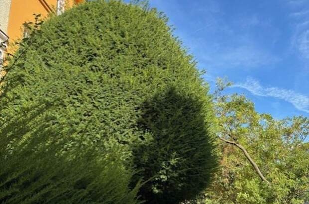 Mietwohnung in 1180 Wien (Bild 1)