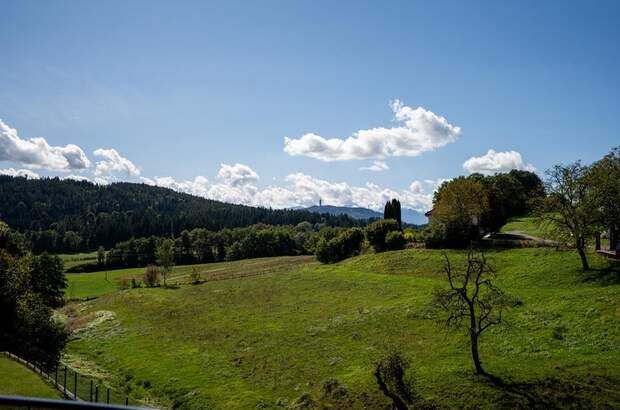 Mehrfamilienhaus kaufen in 9062 Moosburg (Bild 3)