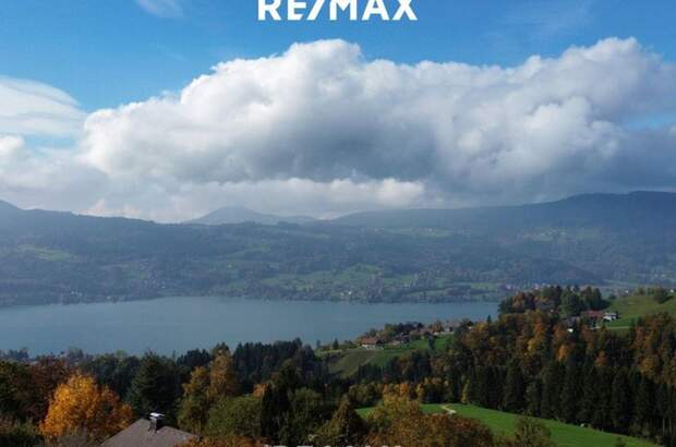 Grundstück kaufen in 4853 Steinbach (Bild 2)