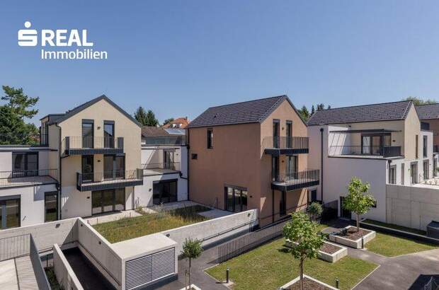 Terrassenwohnung kaufen in 2020 Hollabrunn (Bild 2)