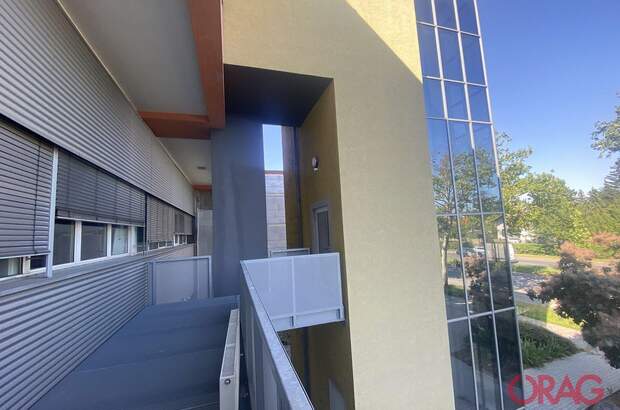 Gewerbeobjekt mieten in 1230 Wien (Bild 1)