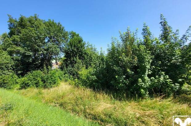 Grundstück kaufen in 4060 Leonding (Bild 1)
