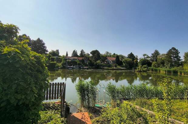 Haus kaufen in 7035 Steinbrunn (Bild 1)